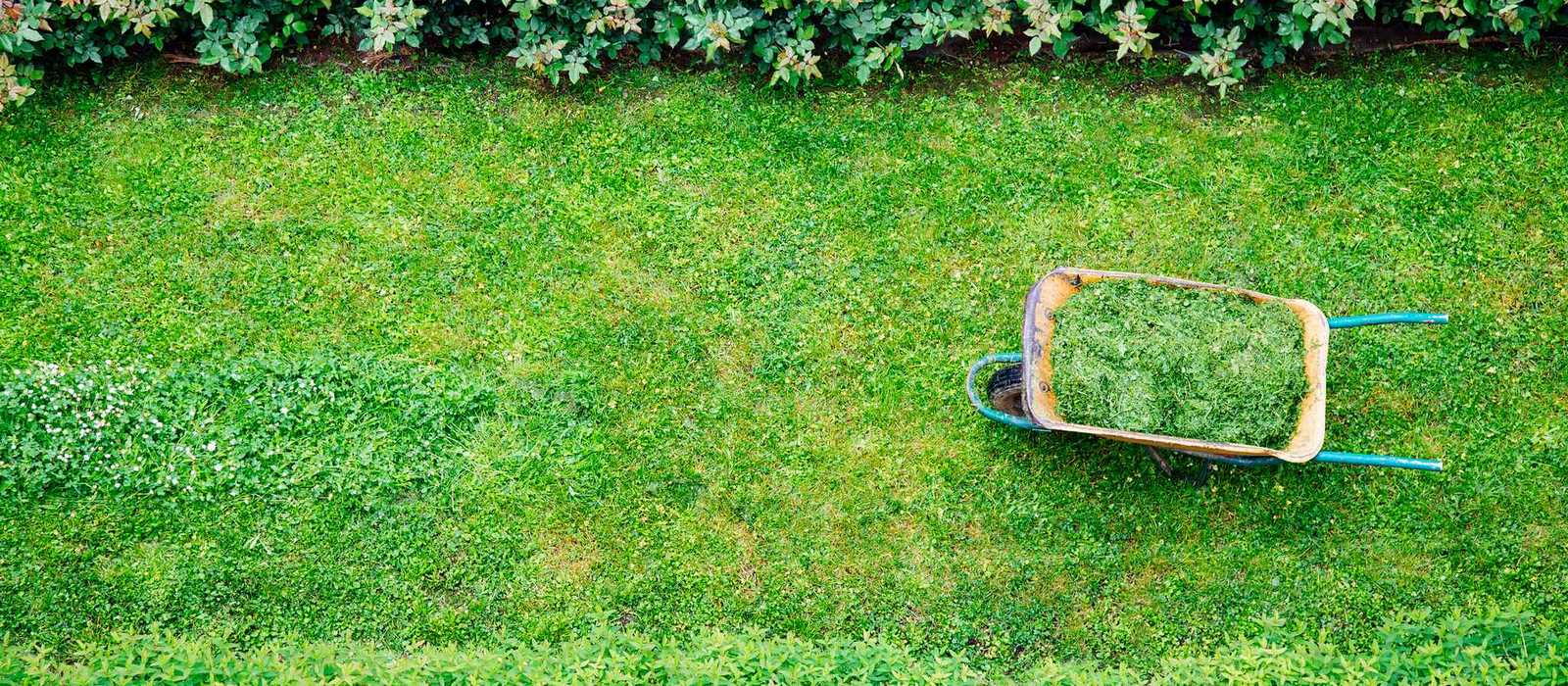 Affordable & Quality Lawn Care